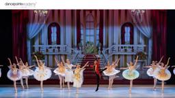 Beyond Graceful Movement: Top 5 Benefits of Ballet for Kids
